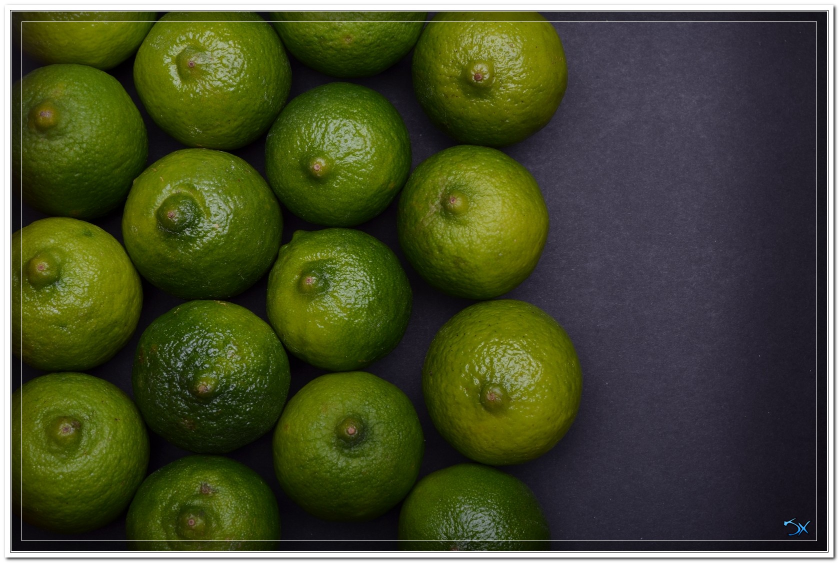 0068.jpg