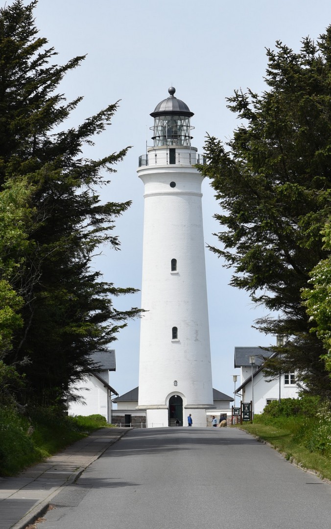 0354.jpg