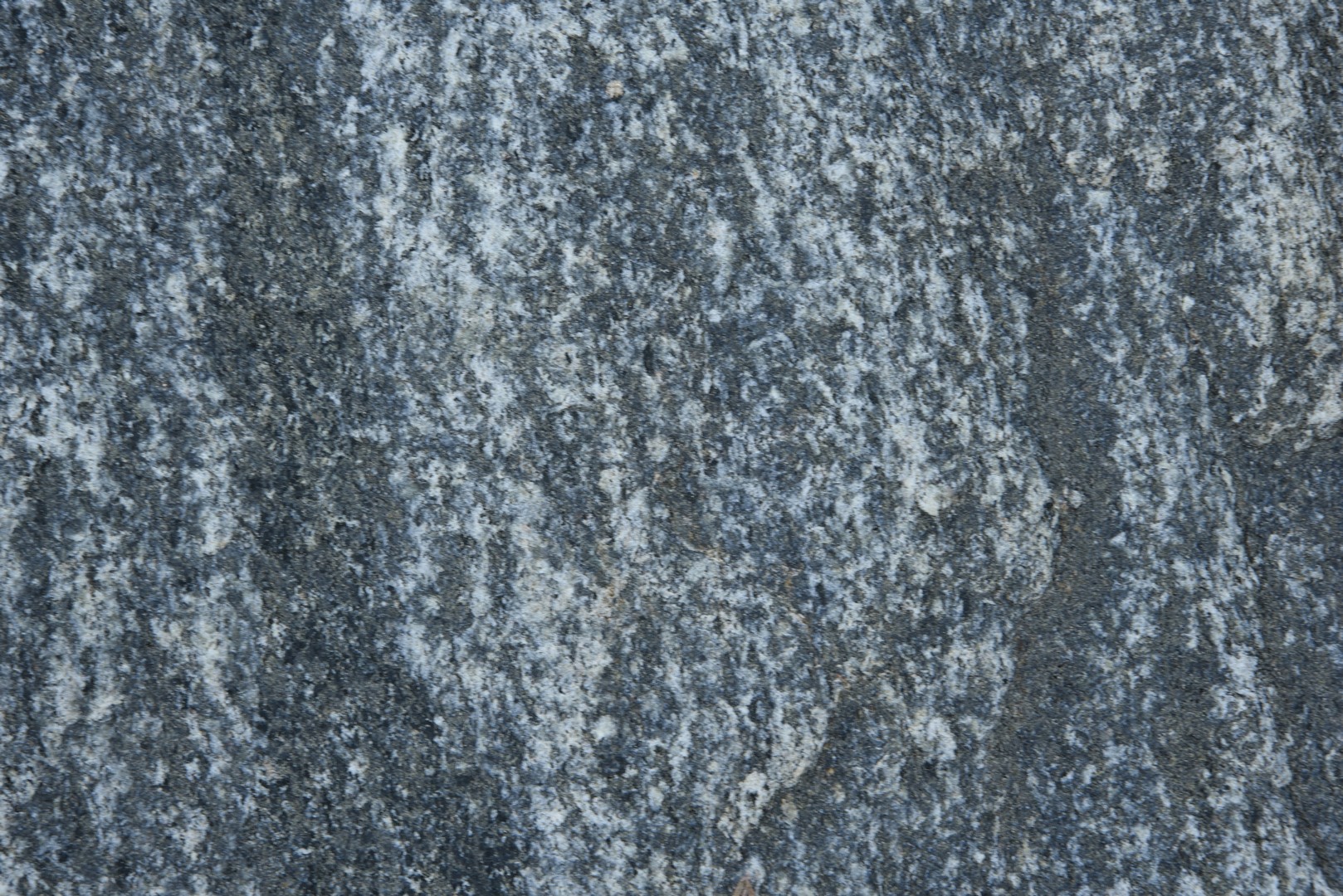 123_8355.jpg