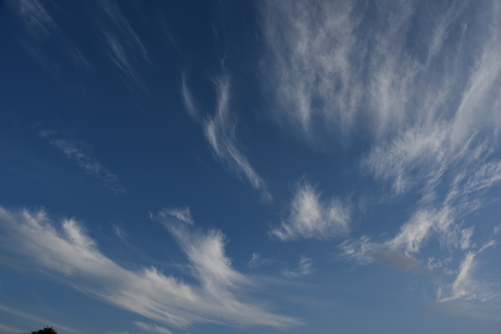 NXT_5097.jpg