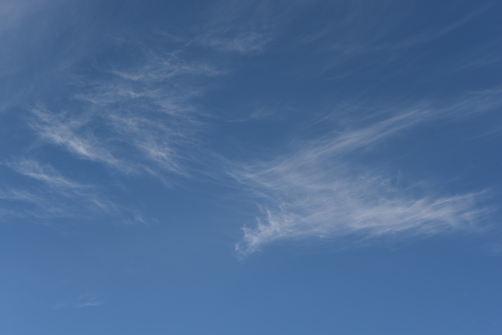 NXT_5103.jpg