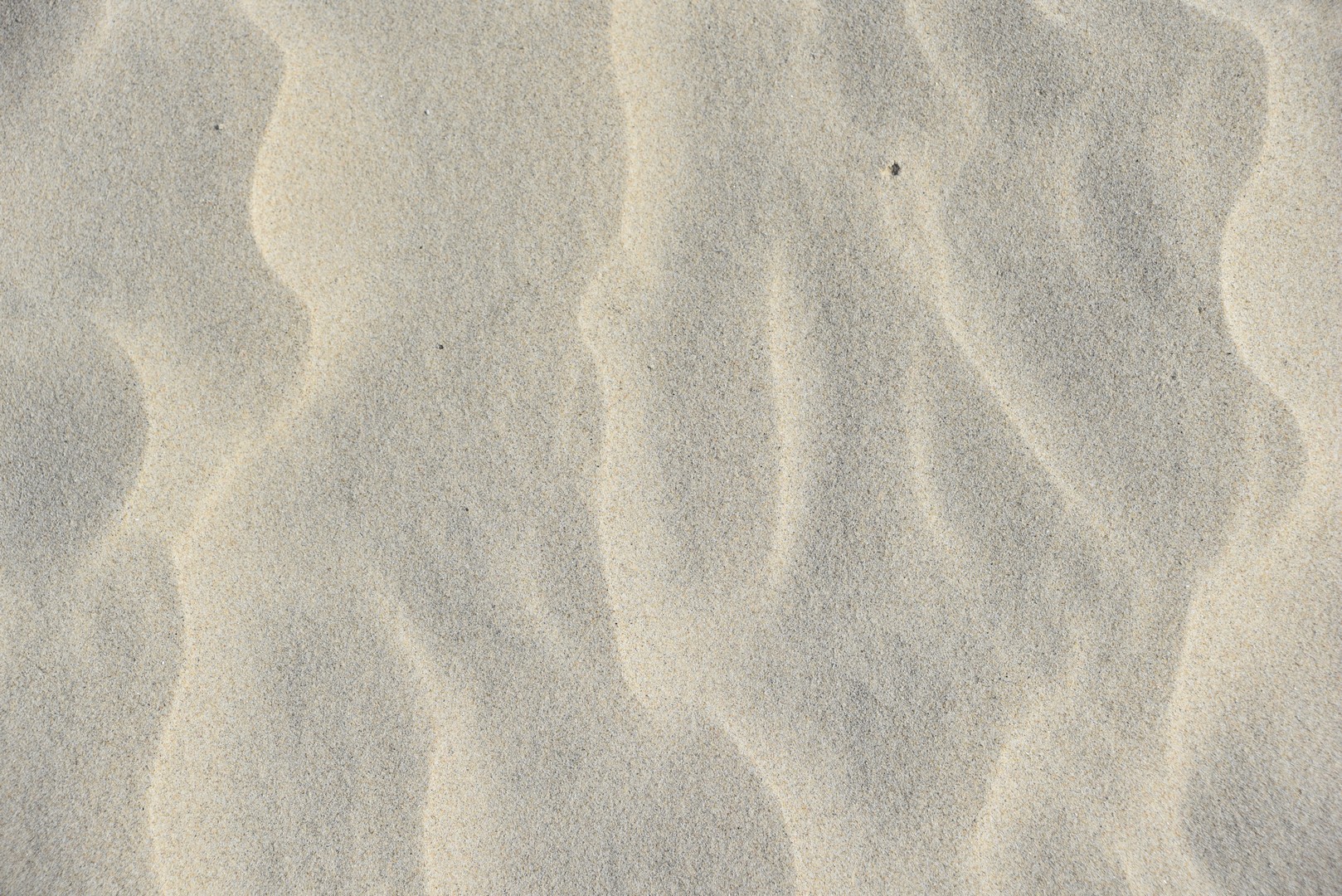 NXT_5346.jpg